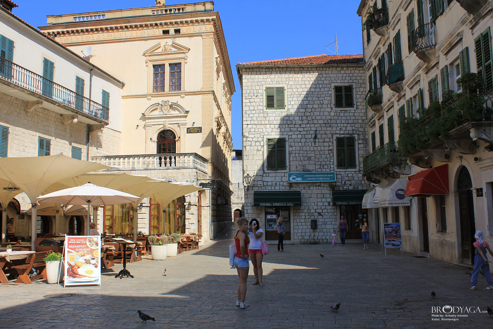 Kotor